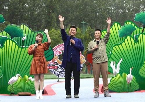 南海租房大爆料视频最新,最新视频大爆料解析